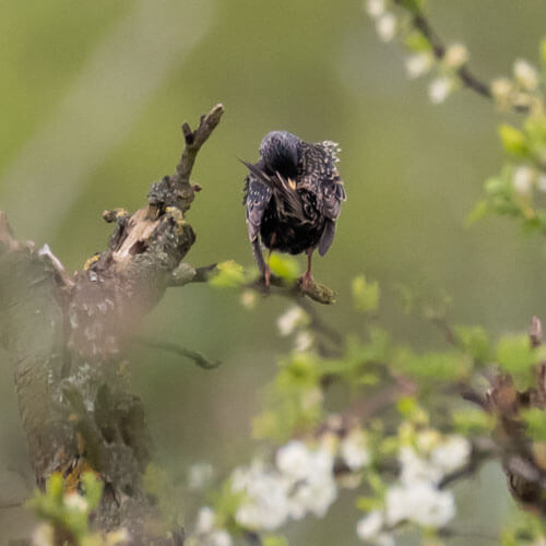Webseite_Vogel-Naturschutzgruppe-WStbg_Kontakt